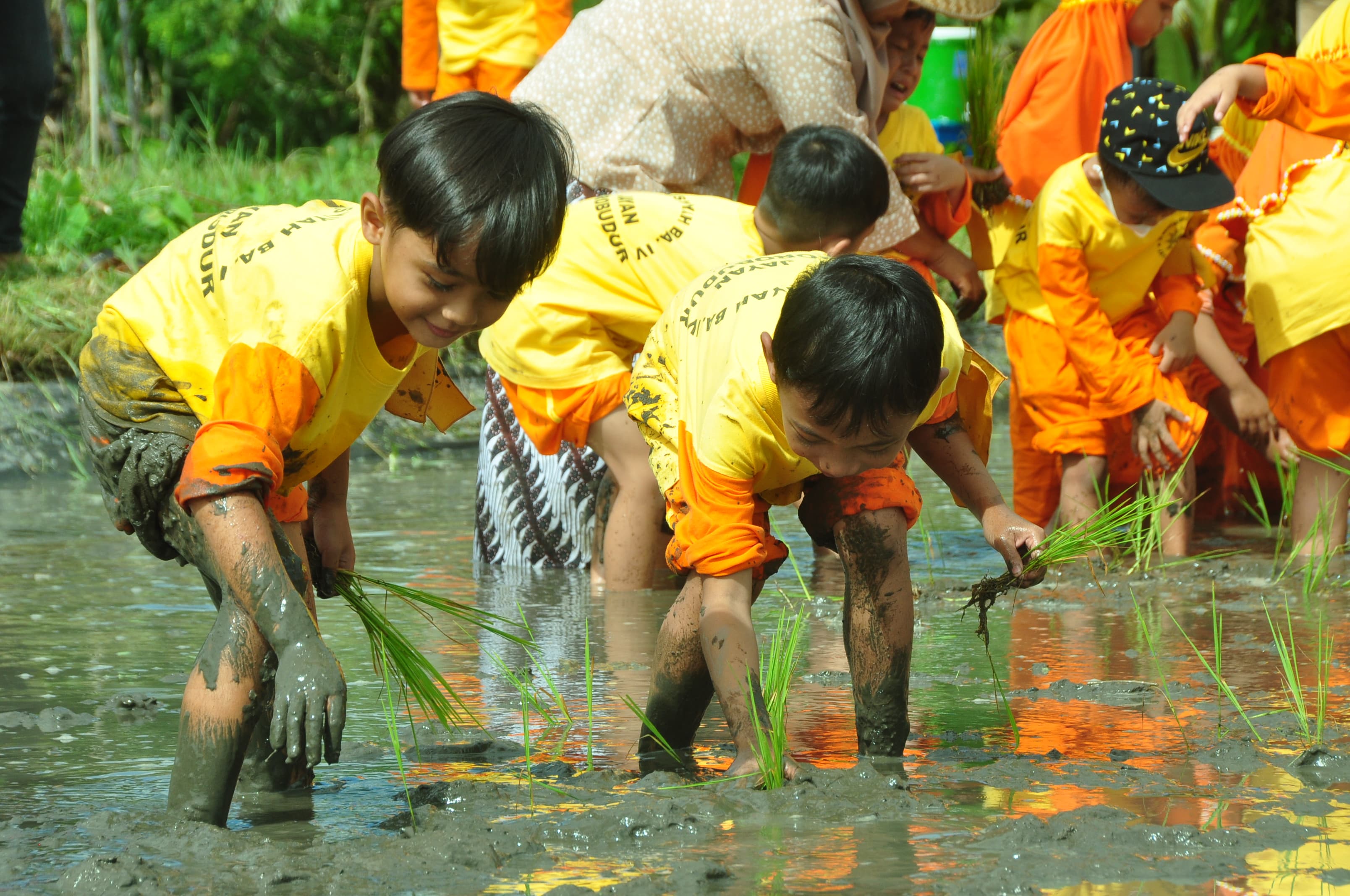 Aktivitas bercocok tanam tradisional